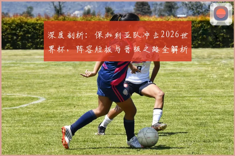 深度剖析：保加利亚队冲击2026世界杯，阵容短板与晋级之路全解析